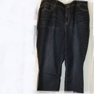 Lane Bryant Hi-Rise Skinny Jeans